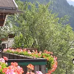 Les Triolets 2* Châtel
