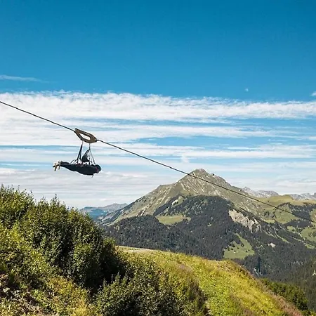 Les Triolets 2* Châtel