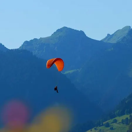 Les Triolets 2* Châtel