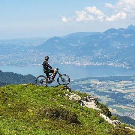 Les Triolets 2* Châtel